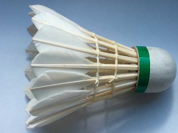 Verovering Onafhankelijk patroon veren badminton shuttles